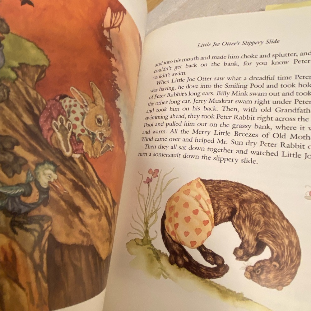 Old Mother West Wind Book vintage kids book Thornton W Burgess Michael Hague 90s - Picture 15 of 17